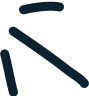Anasayfa